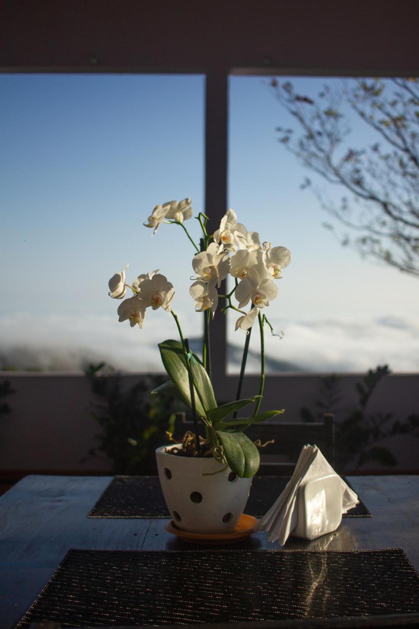 Nosara Hideaway 2 - Breakfast Included & Mountain View Cabins 尼科亚 外观 照片