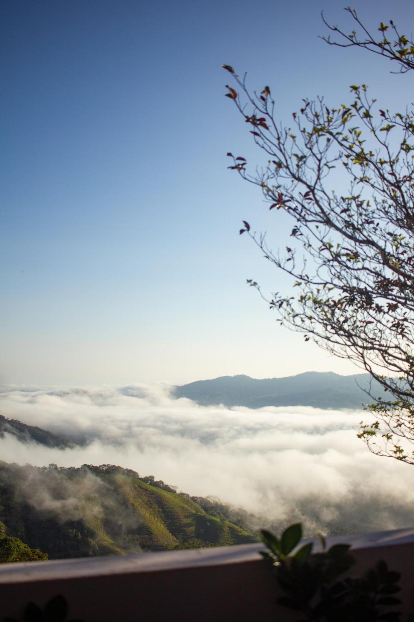 Nosara Hideaway 2 - Breakfast Included & Mountain View Cabins 尼科亚 外观 照片